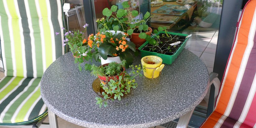 Tisch mit bunten Blumen und Kräutern 