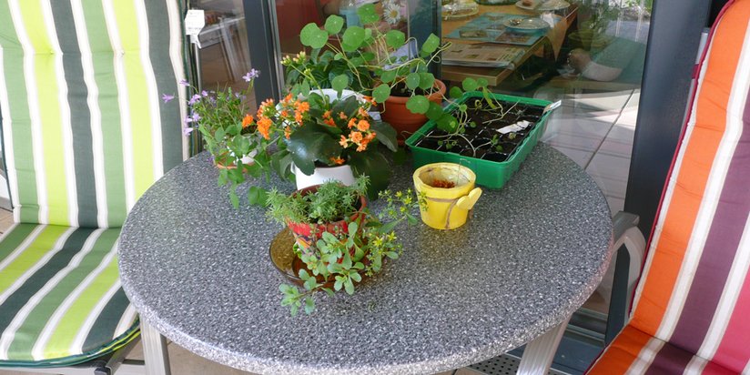 Tisch mit bunten Blumen und Kräutern 